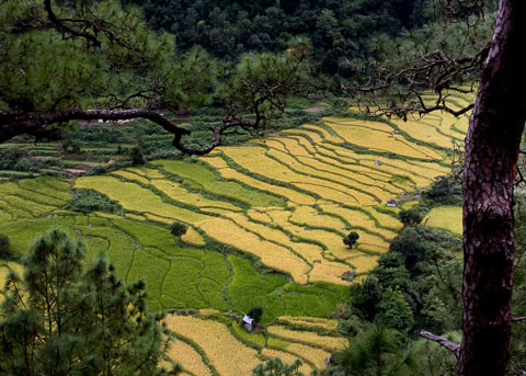 Bhutan