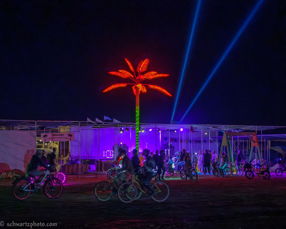 _DSF5729.jpg