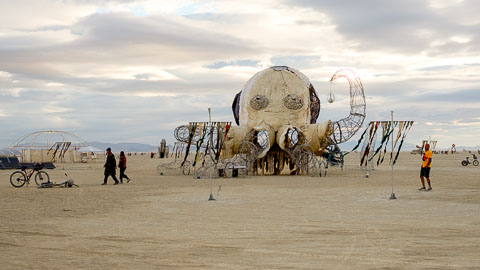 _DSF0409.jpg