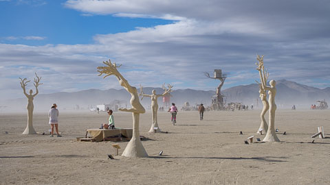 _DSF0642.jpg