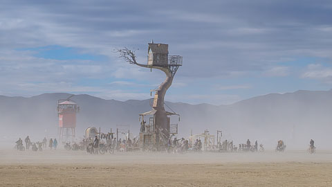 _DSF0644.jpg