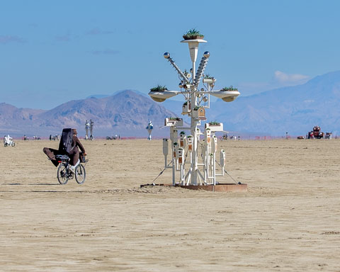 _DSF1115.jpg